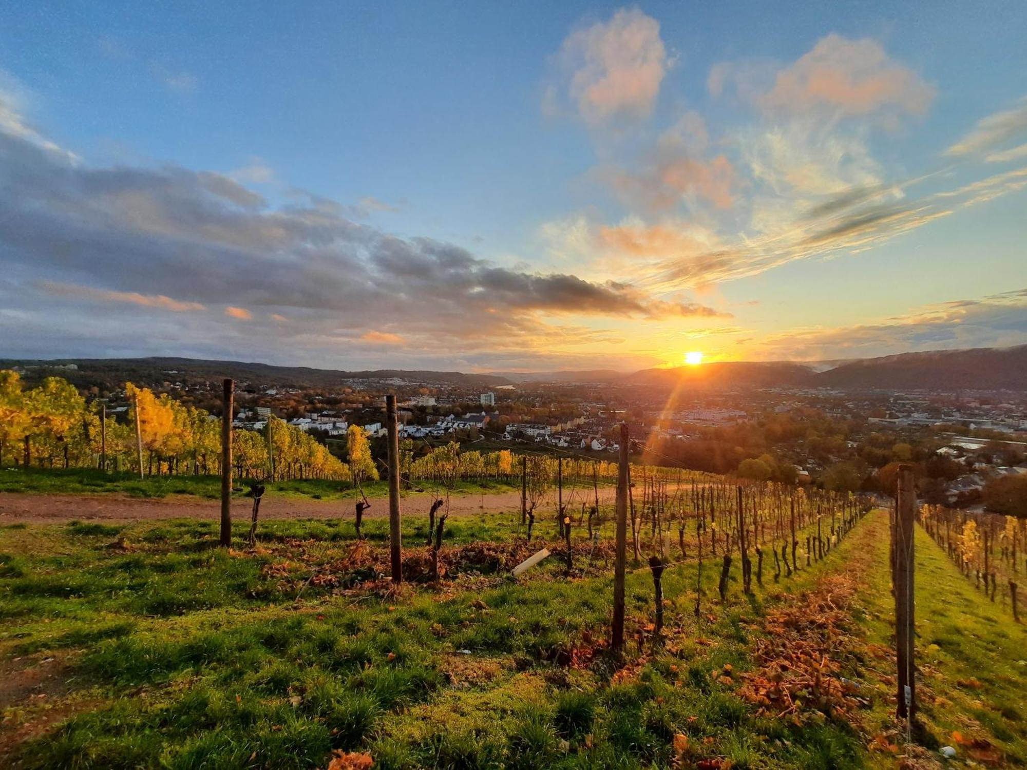 Ferienwohnung An Der Obermosel Oberbillig المظهر الخارجي الصورة